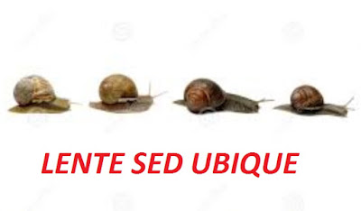 LUMAHCE IN CODA lente sed ubique piano ma ovunque