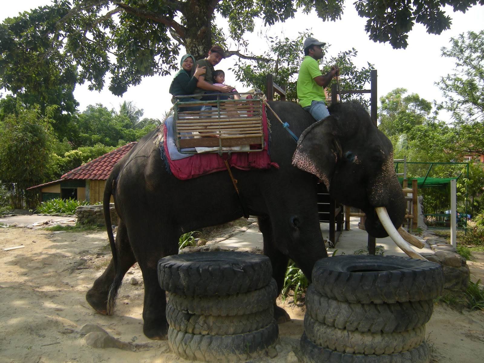 foto zaza Oriental Village Langkawi Elephant Ride
