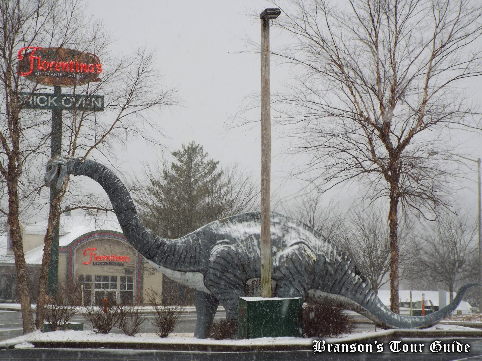 Branson's Tour Guide Wintertime In Branson, MO (With Video)