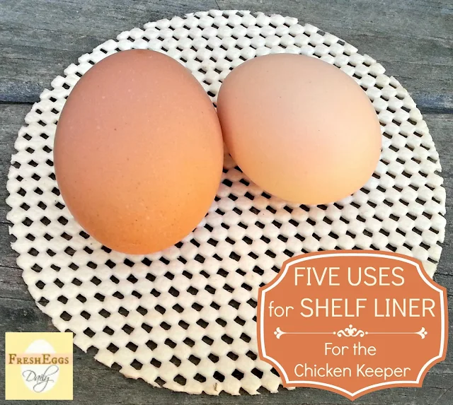 Five Creative Uses for Shelf Liner for the Chicken Keeper Fresh Eggs