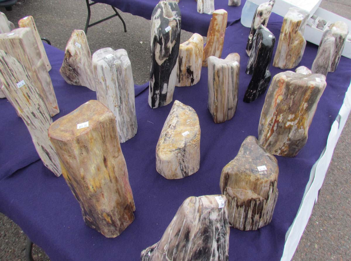 The Agatelady Adventures and Events Moose Lake Agate Days Post 1