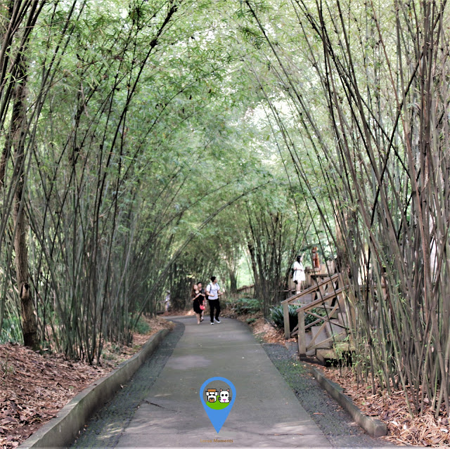 Chengdu Panda Breeding Research Centre is a beautiful manmade natural park for rearing and breeding of pandas in Sichuan province of China Chengdu Panda Breeding Research Centre is a beautiful manmade natural park for rearing and breeding of pandas in Sichuan province of China
