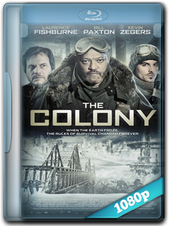 Blu+ray+1080p-PSD+copy.png
