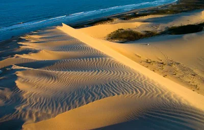 Jenis Gumuk Pasir (Sand Dune)