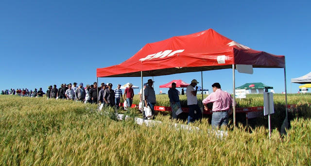 Roncador: Produtores rurais participam do Dia de Campo realizado pela Agroexata