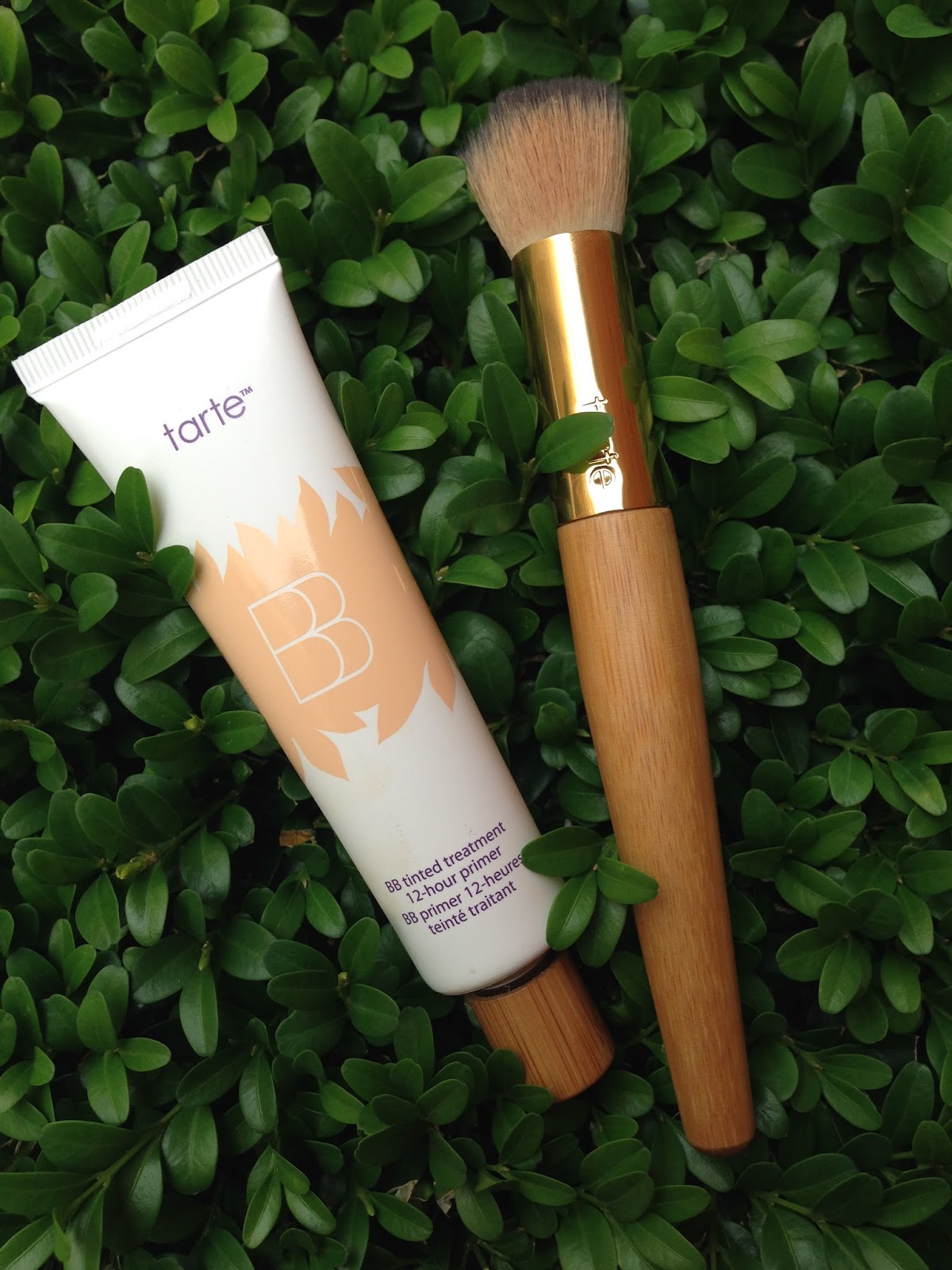The TRUE AllinOne Primer Tarte BB Tinted 12hour Primer with brush