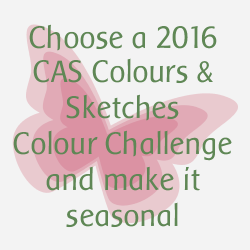 http://cascoloursandsketches.blogspot.com/2016/12/challenge-202-seasonal-colours.html