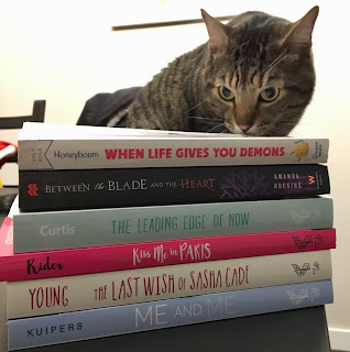 Pickles inspecting book stack~ Pickles and book stack.