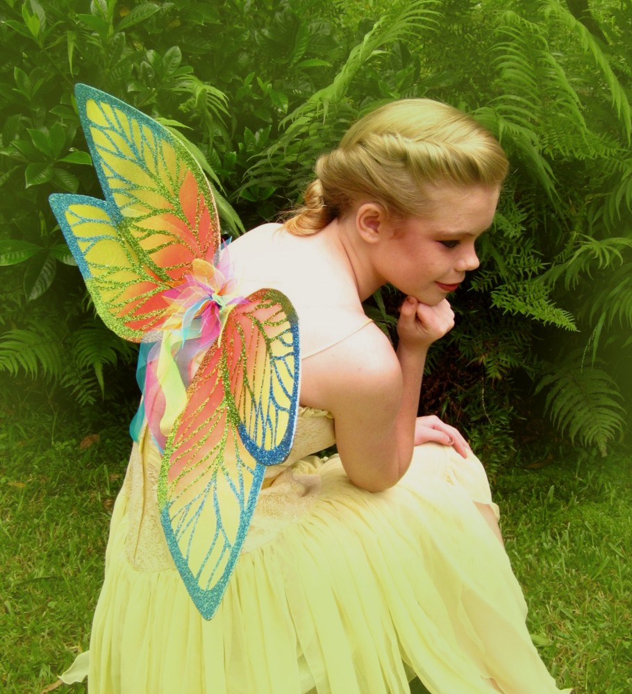 Twisted Whimsey How to make fairy wings.