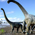 New dinosaur species Savannasaurus discovered in Australia