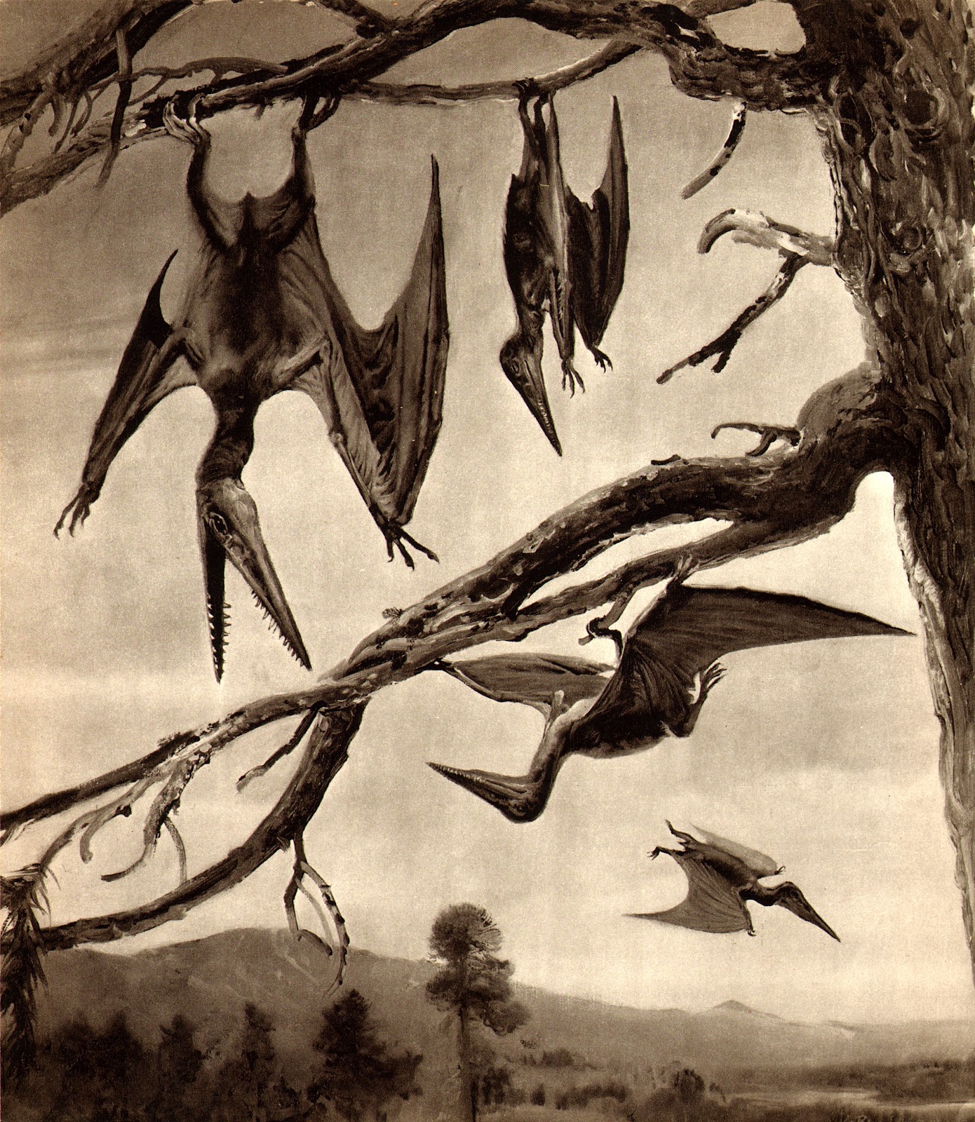 types of pterodactyls