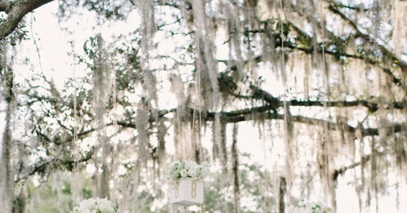 Wedding Stuff Ideas: A Rustic White Wedding