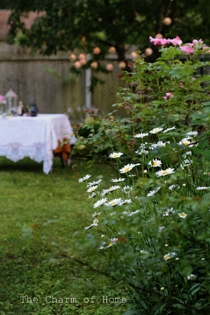 Mad Tea Party 2015