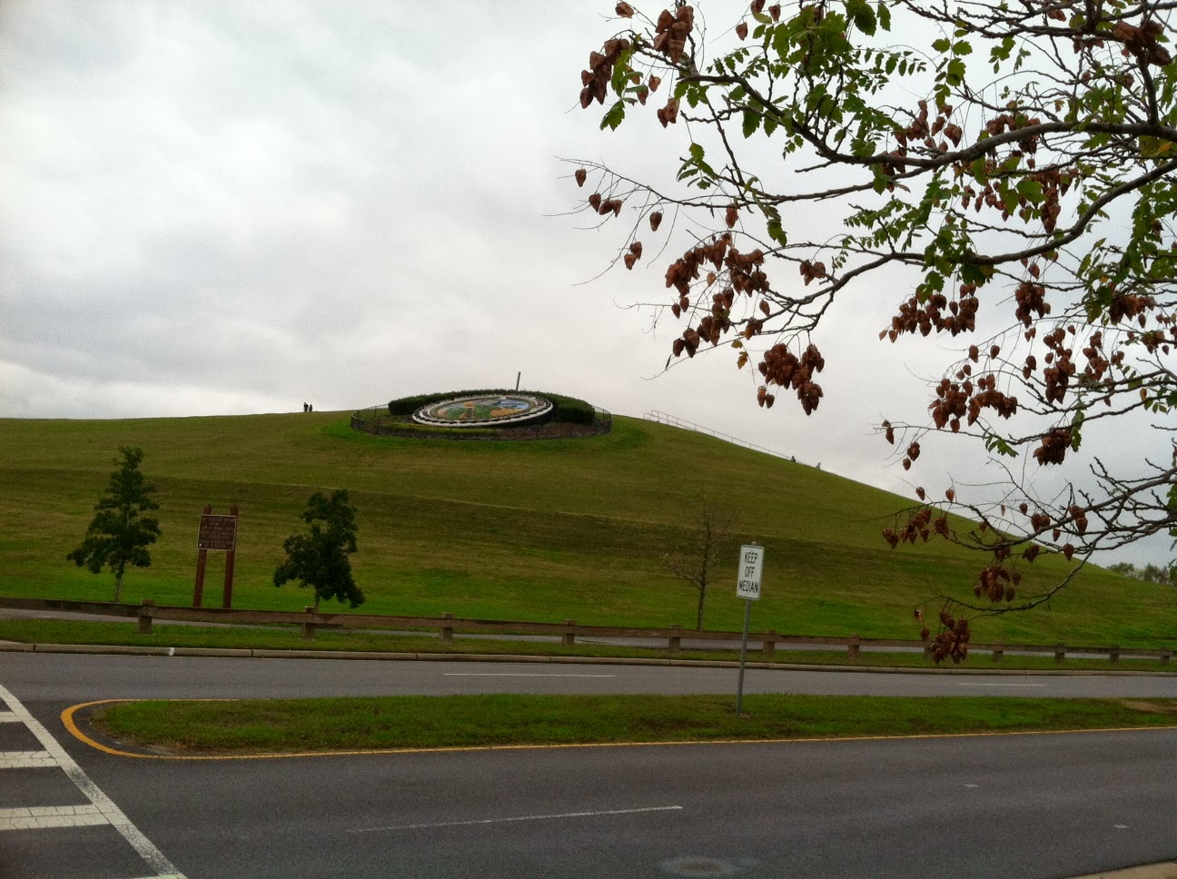 Pawstcards from Hampton Roads Mount Trashmore Park, Virginia Beach, VA