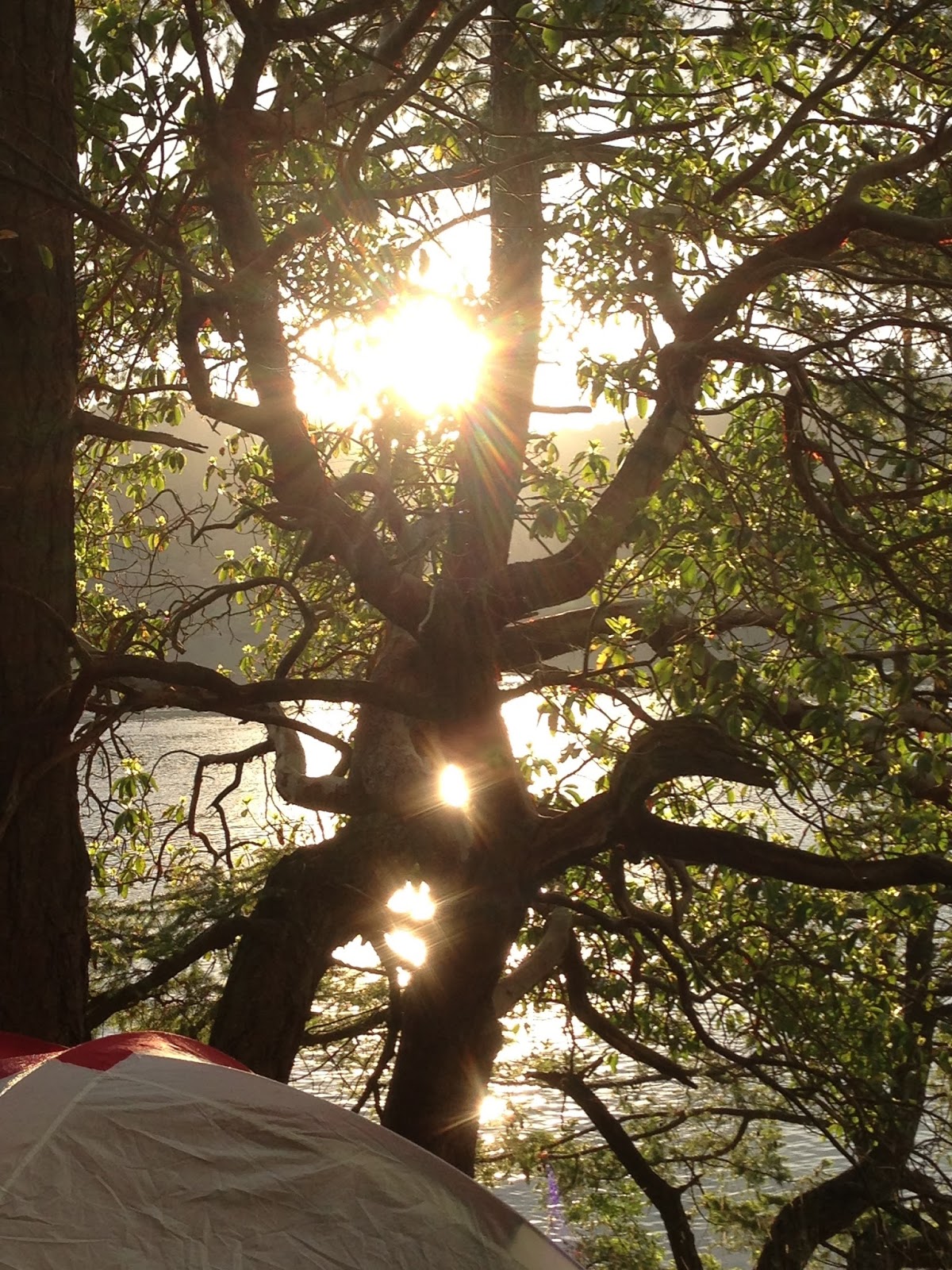 Hiking Oregon Mayne Island Kayak Adventure Guest Blog