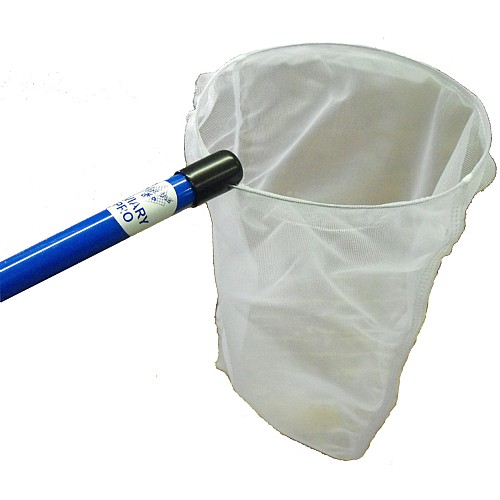 Bird In Everything Bird Catching Nets