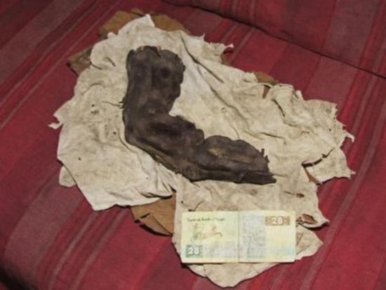 Un dedo de 38 centímetros de largo encontrado en Egipto: ¿Evidencia de los Nephilim? Dedo%2Bde%2Bgigante%2Begipto%2B%25281%2529