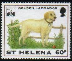 1994年セントヘレナ島　ラブラドール・レトリーバーの切手