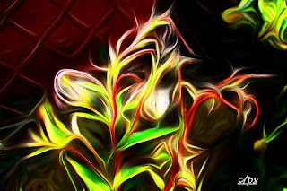 Blumen, flores, Flower, fleurs, květiny, Flores, blomme Fauna, Flora, Tiere, Vögel, Fische, Insekten, Blumen, Bäume, Berge, Meer, Ozean, Natur, Sonne, Mond, animals, birds, fish, insects, flowers, trees, mountains