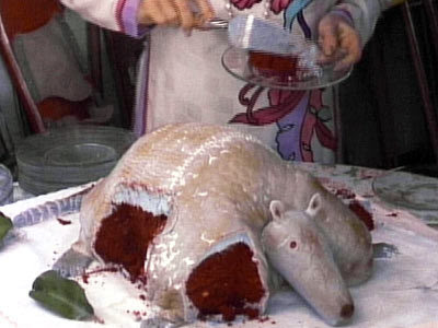 Red Velvet Armadillo Cake Steel Magnolias Red Velvet Armadillo Cake Steel Magnolias