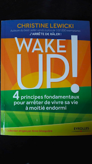 http://www.eyrolles.com/Loisirs/Livre/wake-up-9782212558425