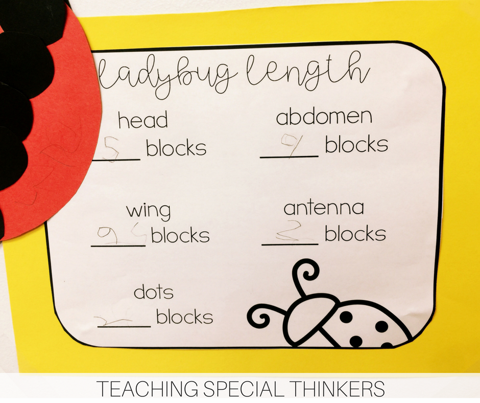 Ladybug Length Measurement Creativity