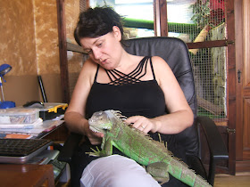 Hector Paul's Iguana