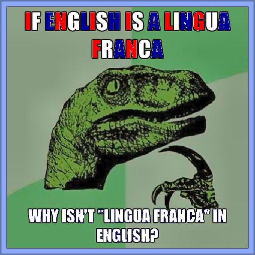 why english as a lingua franca English as a lingua franca has gradually been established as the main term of what earlier was referred to, and occasionally still is, as english as an international language , english as a global language , or english as a world language (seidlhofer 2004: 210. why english as a lingua franca English as a lingua franca has gradually been established as the main term of what earlier was referred to, and occasionally still is, as english as an international language , english as a global language , or english as a world language (seidlhofer 2004: 210.
