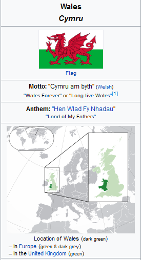 Well Done Wales in Welsh Well Done Wales in Welsh