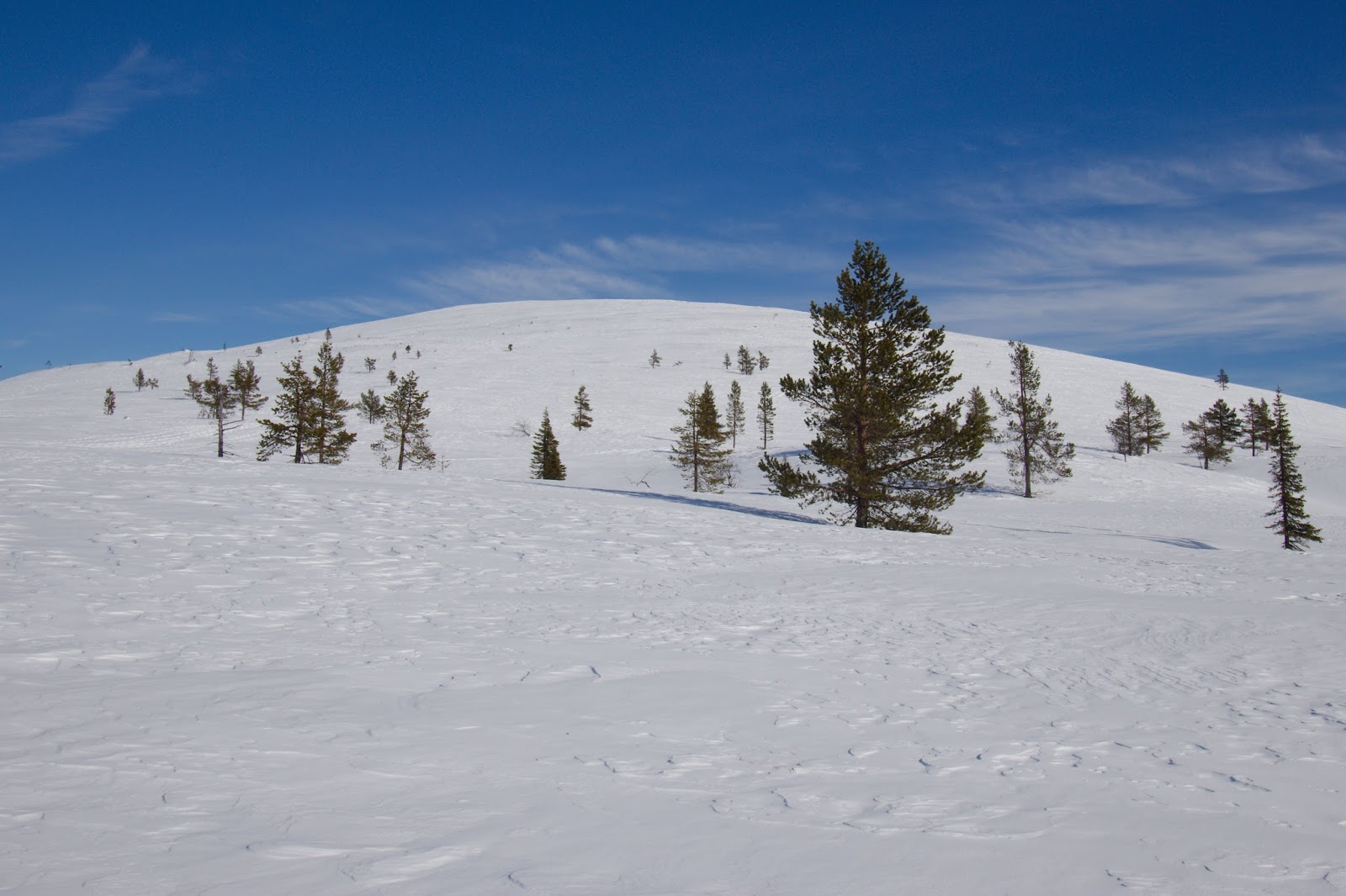 Palkastunturi, Pallas, Muonio
