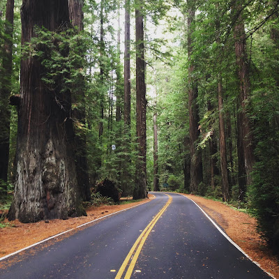 10 Day West Coast Itinerary