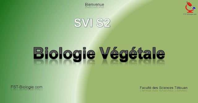 Thallophytes - Biologie Végétale SVT S2 Thallophytes - Biologie Végétale SVT S2
