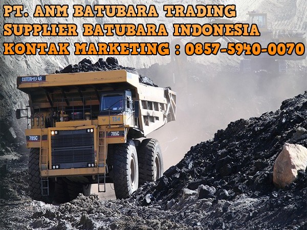 Jual batubara bengkulu Jual batubara bengkulu