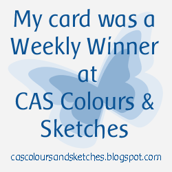 CAS colours & sketches weekly winner