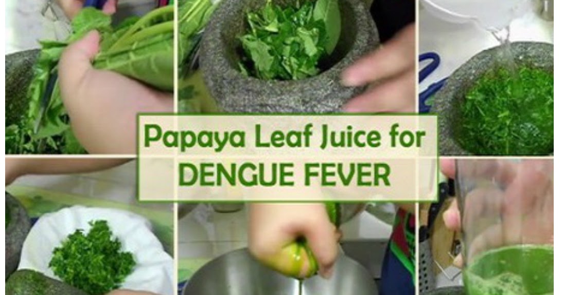 How To Use Papaya Leaf Juice To Treat Dengue Fever In 48 Hours Health