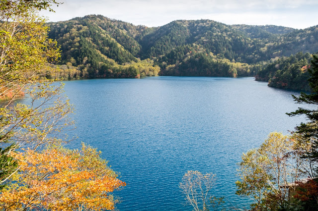 cestování po světě, blog, japonsko, nagano, shigakogen, trail around ponds