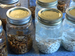 beans canning pulses pressure water dried partly cook fill