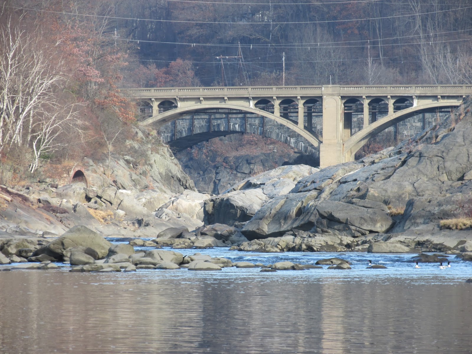 Trashpaddler Petroglyphs to Putney Landing