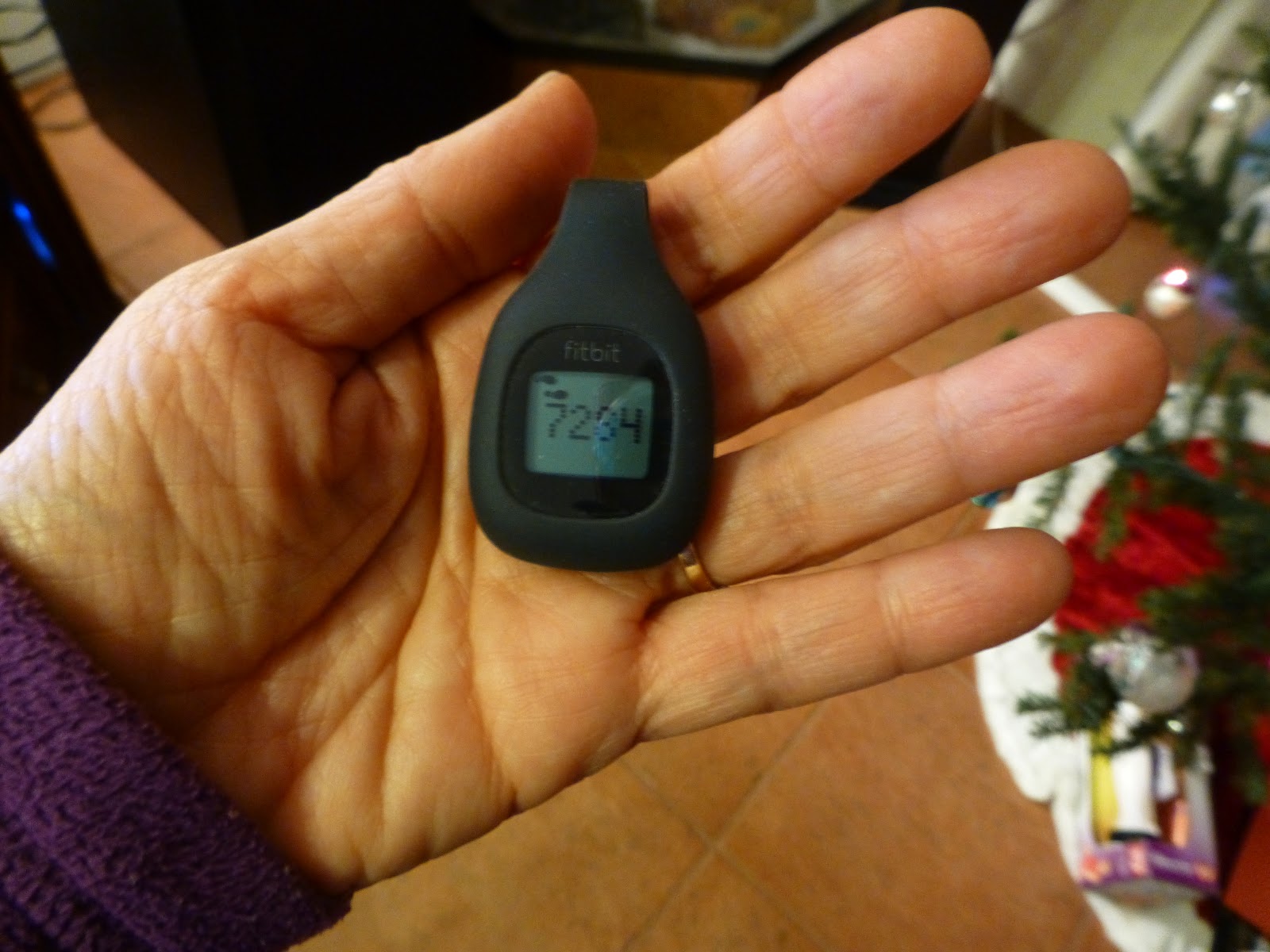 fitbit ace pedometer