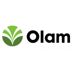 Olam