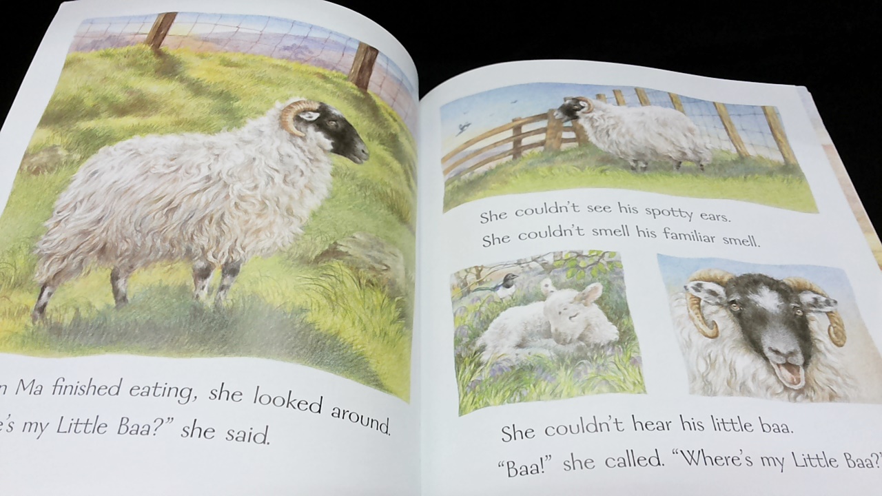 Kid Books Blog 522.My Friend Harry / Emma's Lamb / Little Baa