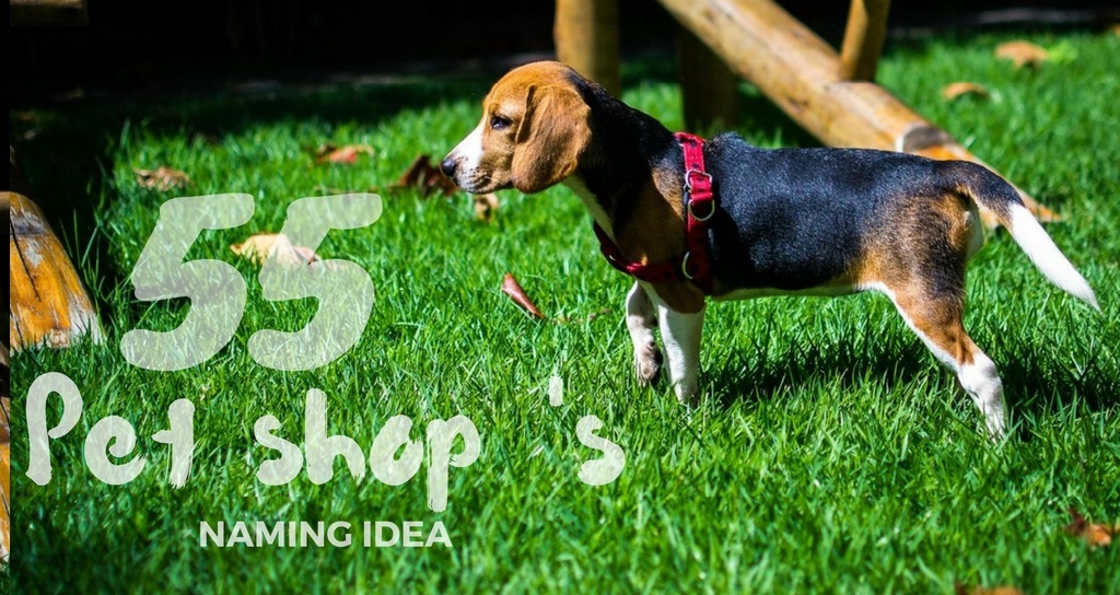 55 Cute Pet Shop Names Brandyuva.in