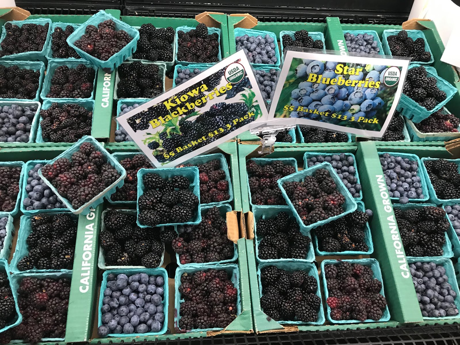 FresFood Murray Family Farms Road Trip