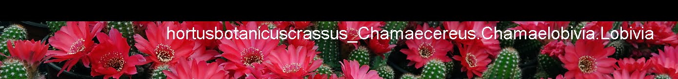Hortus Botanicus Crassus