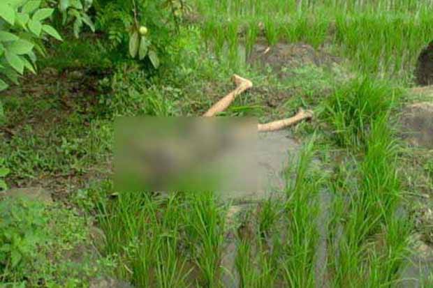 Dua Pelajar SMP di Majalengka Bunuh Teman Karena Hutang Sebesar Rp 30rb Tak Kunjung Dibayar.