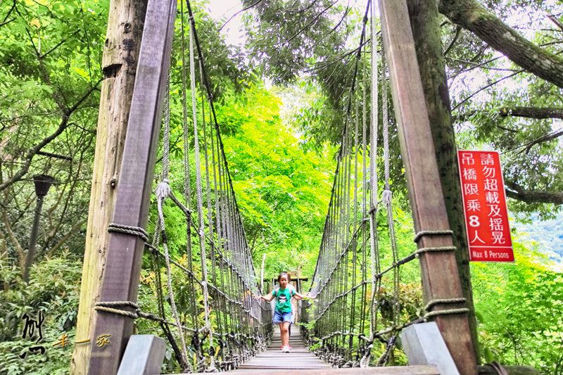 螢火蟲、油桐花、季高緯度熱帶雨林|三峽 大板根森林溫泉渡假村
