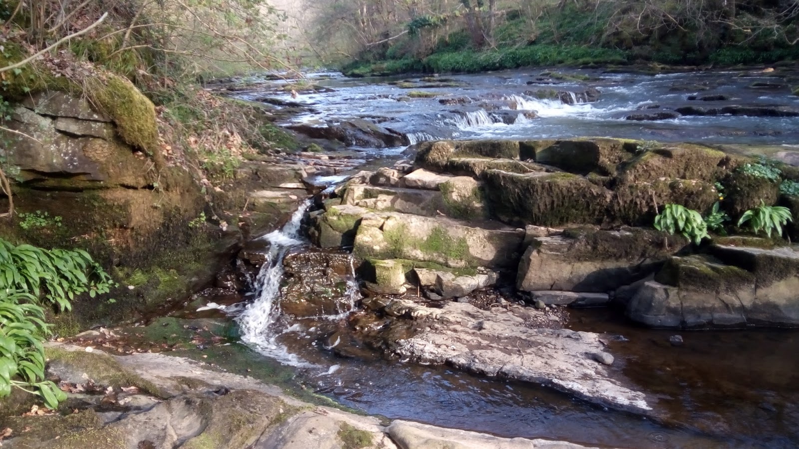 Cleghorn Glen, Lanark