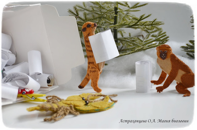 palchikovyj-teatr-KOAPP-martyshka-rak-surikat-poslovicy