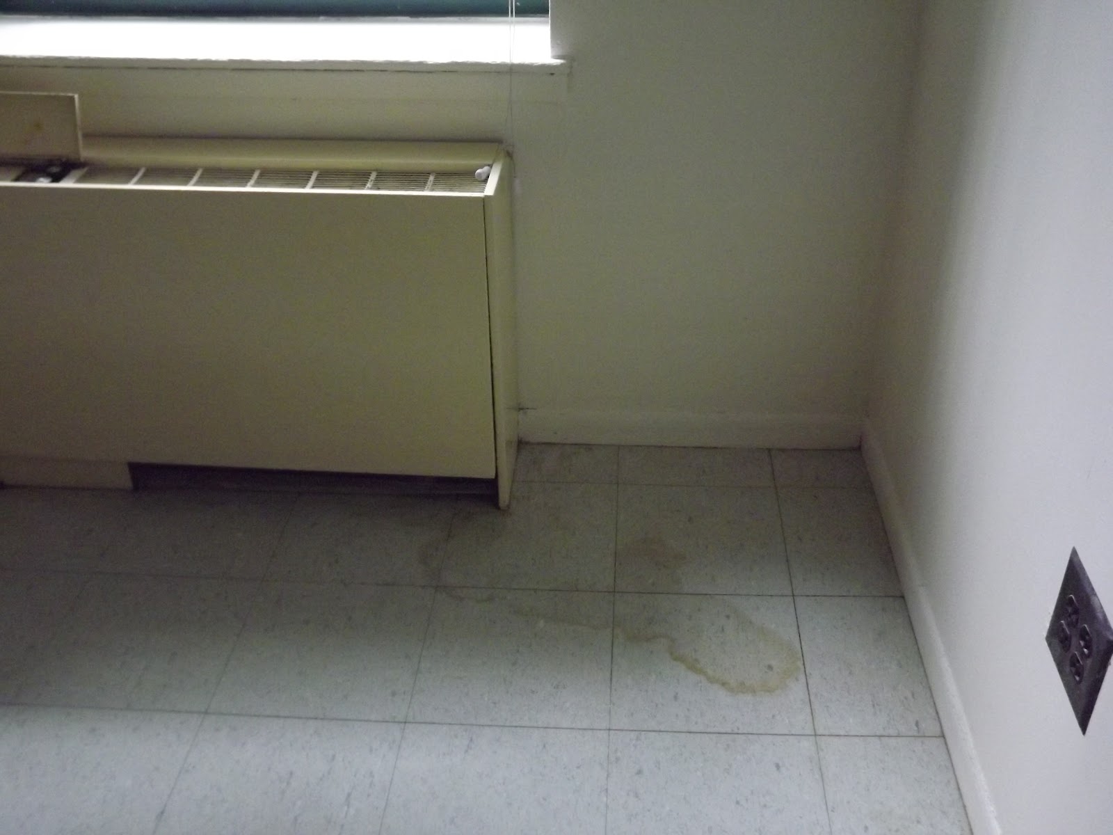 Community Access 1st I.T.A.N.Y.C. Gouverneur Court, under Community