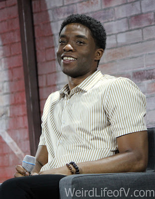 Chadwick Boseman panel at Nerd HQ 2016 Chadwick Boseman